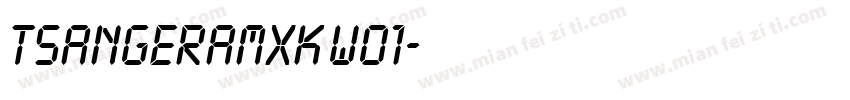 TsangerAMXK W01字体转换